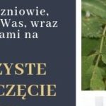 Ważna informacja! Zostało jeszcze kilka wolnych miejsc w klasach pierwszych.