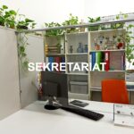 Nowi uczniowie intensywnie uczą się języka polskiego